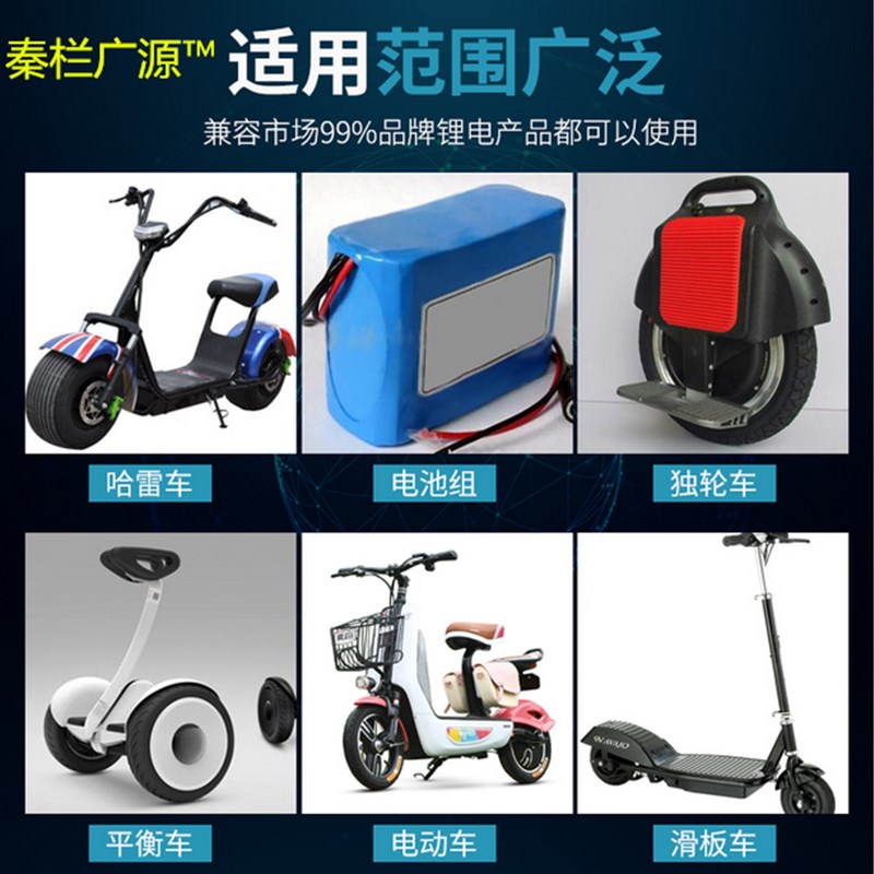 铁锂三元动车锂电池充电器60伏2A3A5A8a20ah安71.4v73V67.2V76V快