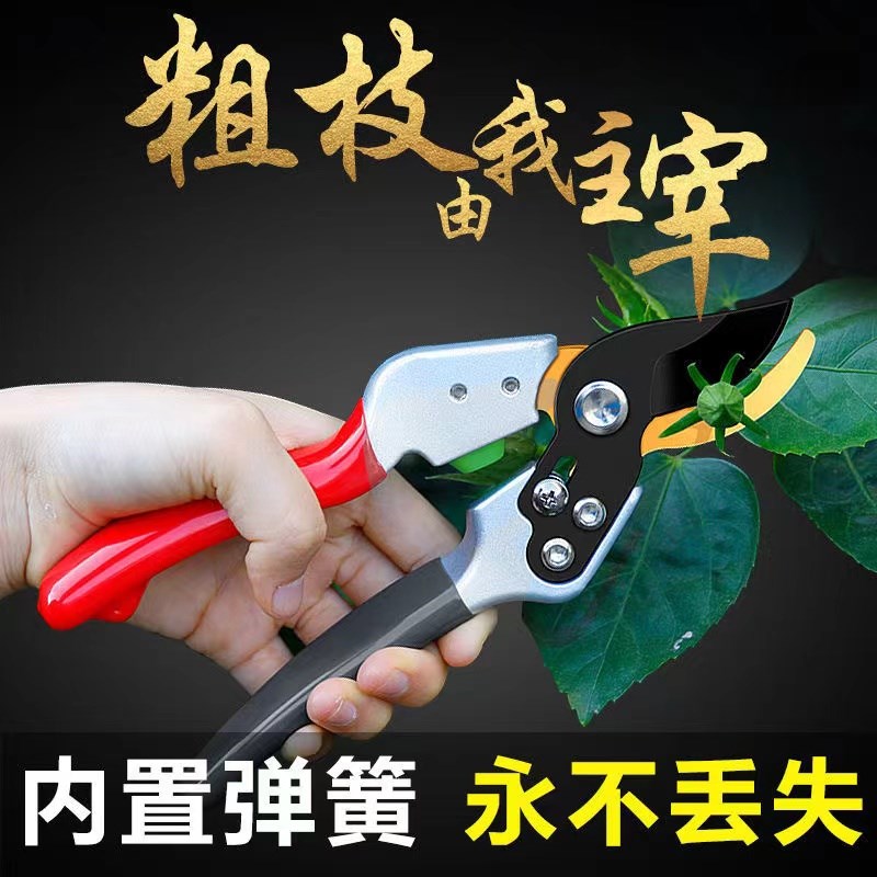精锐锋 园艺剪刀修枝剪粗枝干枝快速剪子花枝剪园林剪刀工具