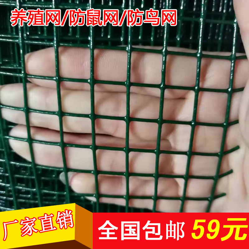 荷兰网铁丝网围栏小网孔养殖网养鸡网防护网防鼠鸟笼网隔离网铁网