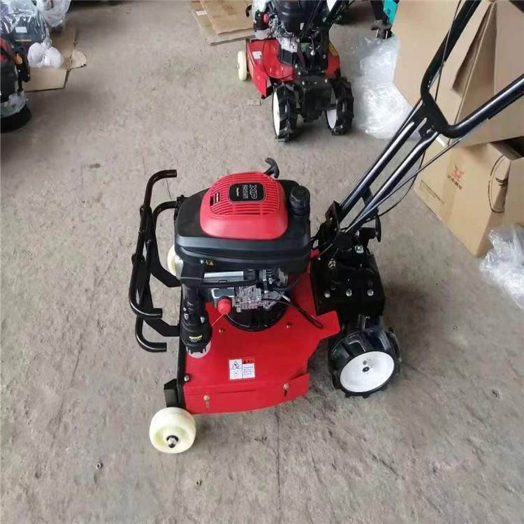 杂草还田果园除草机 小型188电动自走式柴油碎草机 农场用还田机,农机/农具/农膜,粮仓/谷仓,淘宝优惠券,粉丝福利购,淘宝优惠卷