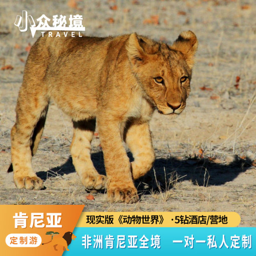 【肯尼亚落地定制游】全国可出发，详询客服搭配航班 私家越野车+当地老司机，草原Safari天花板配置 住进国家公园野奢营地，躺在床上看现实版《动物世界》 原来非洲不是只有沙漠和炎热，还是动物奔腾的生命王国