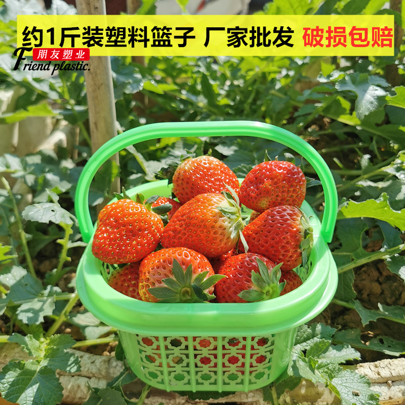 1斤装草莓篮子塑料采摘篮子樱桃篮彩色正方形杨梅篮水果篮塑料篮