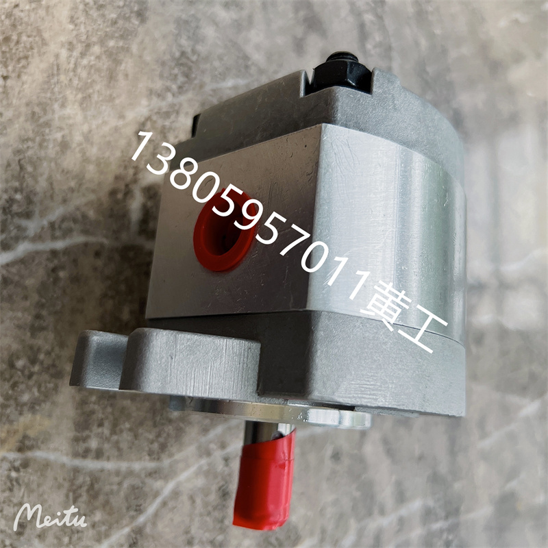 齿轮泵P101RP01G P102RP01G P7RP01G P1RP01G P10RP01G GT