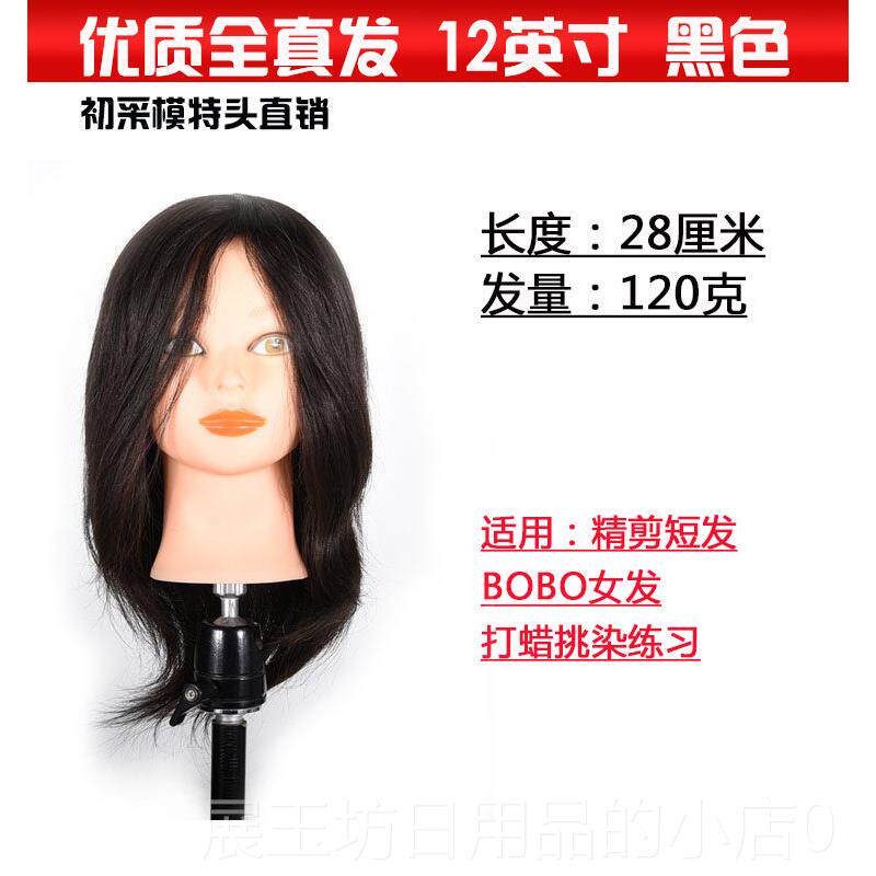 正品美发假发人头模型真发 全真特 学模头真发剪可卷烫染发人头徒