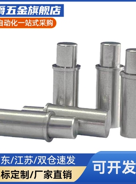 MPJL1.5/2/3/4/5-1.5/3/4/6/8/9/12轻载不锈钢球头小径弹簧柱塞