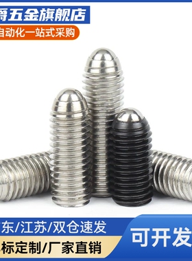 球头柱塞不锈钢现货CBSL6-10P/MSLZ/BSM-L/BSBZL4 UCS5 6 8 10 12