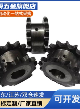 双排链轮SP40SD12 13 14 15 16 21-N/S-15/18/20/25/28/30/35