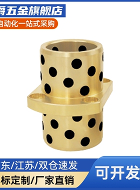 Y-GSA24-d8/10/12/13/16/20/25/30/35/40/50中间切边法兰无油衬套