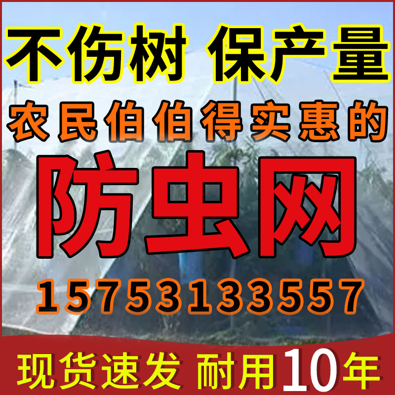 防虫网蔬菜大棚网果园种植网猪场防蚊莲雾网防鸟网加厚纱网防虫网