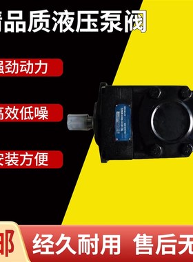 DENISON丹尼逊叶片泵T6C/T6D/T6E双联泵T6DC/T6EC/T6CC/T6ED油泵