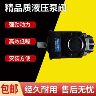 T6CC DENISON丹尼逊叶片泵T6C T6EC T6E双联泵T6DC T6ED油泵 T6D