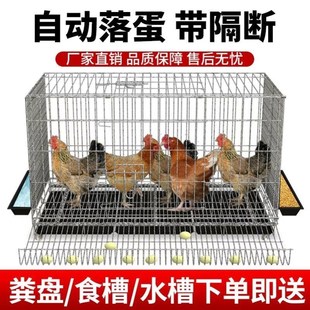 鸡下蛋的笼子养鸡专用笼子大室外养鸡棚不锈钢养鸡笼家用养殖笼粗