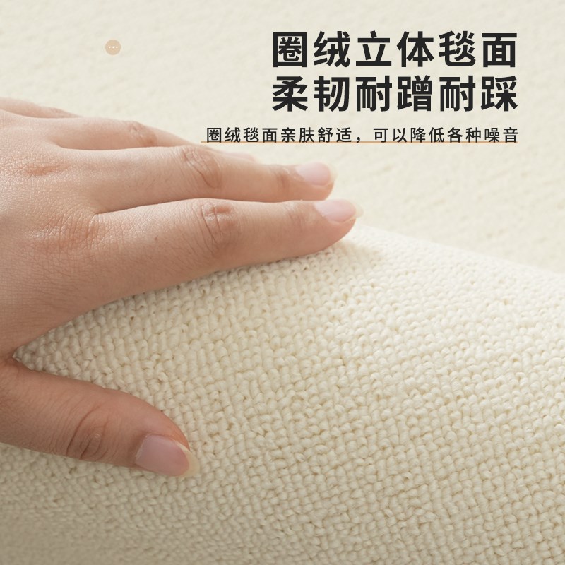 地毯客厅高级感沙发茶几毯202新款摄影棚拍照素色整铺背景毯