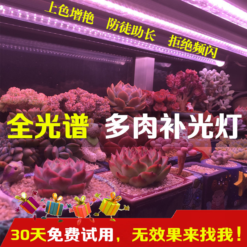 多肉补光灯家用上色全光谱仿太阳室内育苗食虫花卉led植物生长灯
