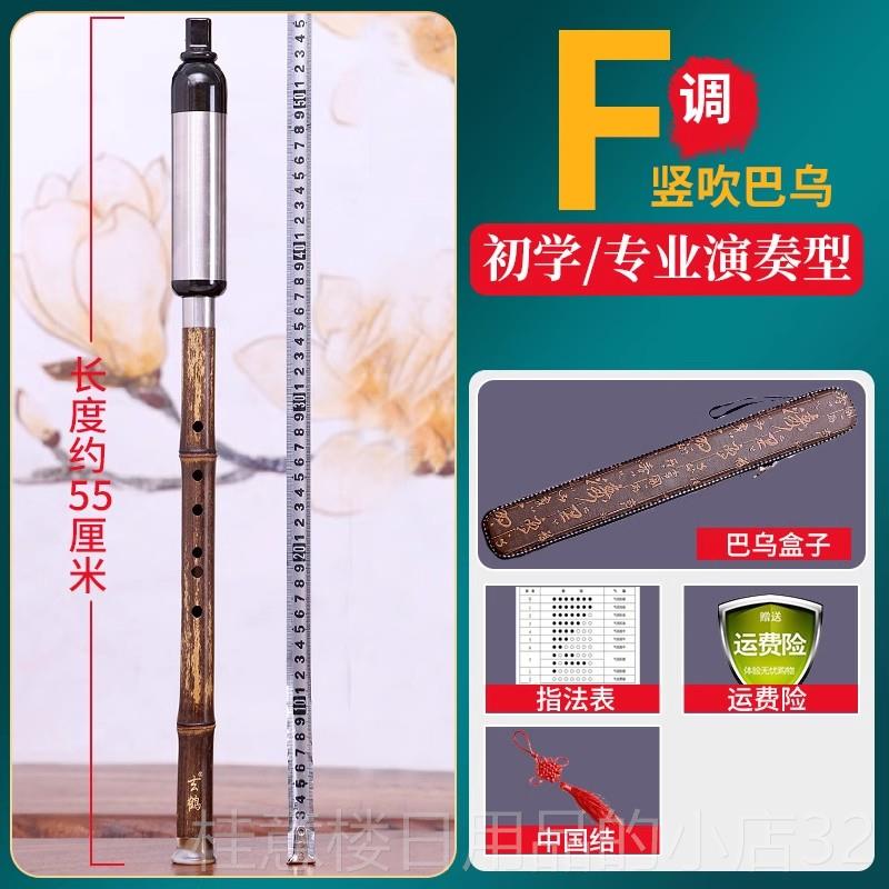 高档巴乌乐器竖吹成人专演奏小学生初入学门大音量管G/F调业 单乐