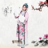 梨服装 剧水袖 京黄梅戏服装 正品 表演服装 青年服装 花绉旦服装 好园女