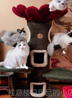 正品现货Camily爬架 太阳花咪树 猫猫城猫堡 猫的树 猫树猫窝定制