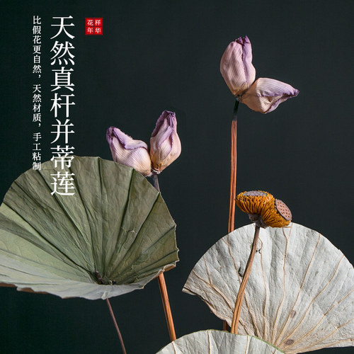 莲蓬干花莲花荷花荷叶花束客厅摆设风干天然酒柜装饰品摆件真花