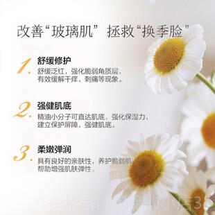 高档纯罗马洋甘菊精油5面m单体方正品 舒缓脸部护肤身按摩l 敏感部