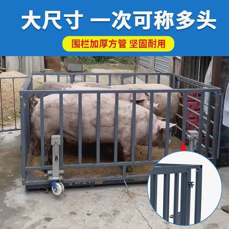 耀华地磅秤高精度电子秤称猪牛畜牧秤1-3吨带围栏可移动平板秤,搬运/仓储/物流设备,地磅/工业衡器,淘宝优惠券,粉丝福利购,淘宝优惠卷