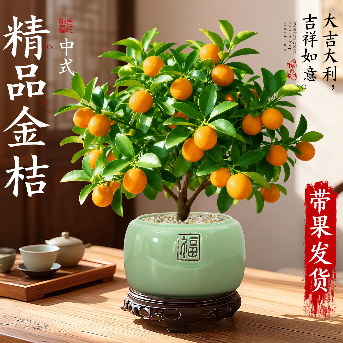 金桔盆栽带果可食用植物室内客厅绿植花卉中式禅意盆景四季好养活,鲜花速递/花卉仿真/绿植园艺,绿植,淘宝优惠券,粉丝福利购,淘宝优惠卷