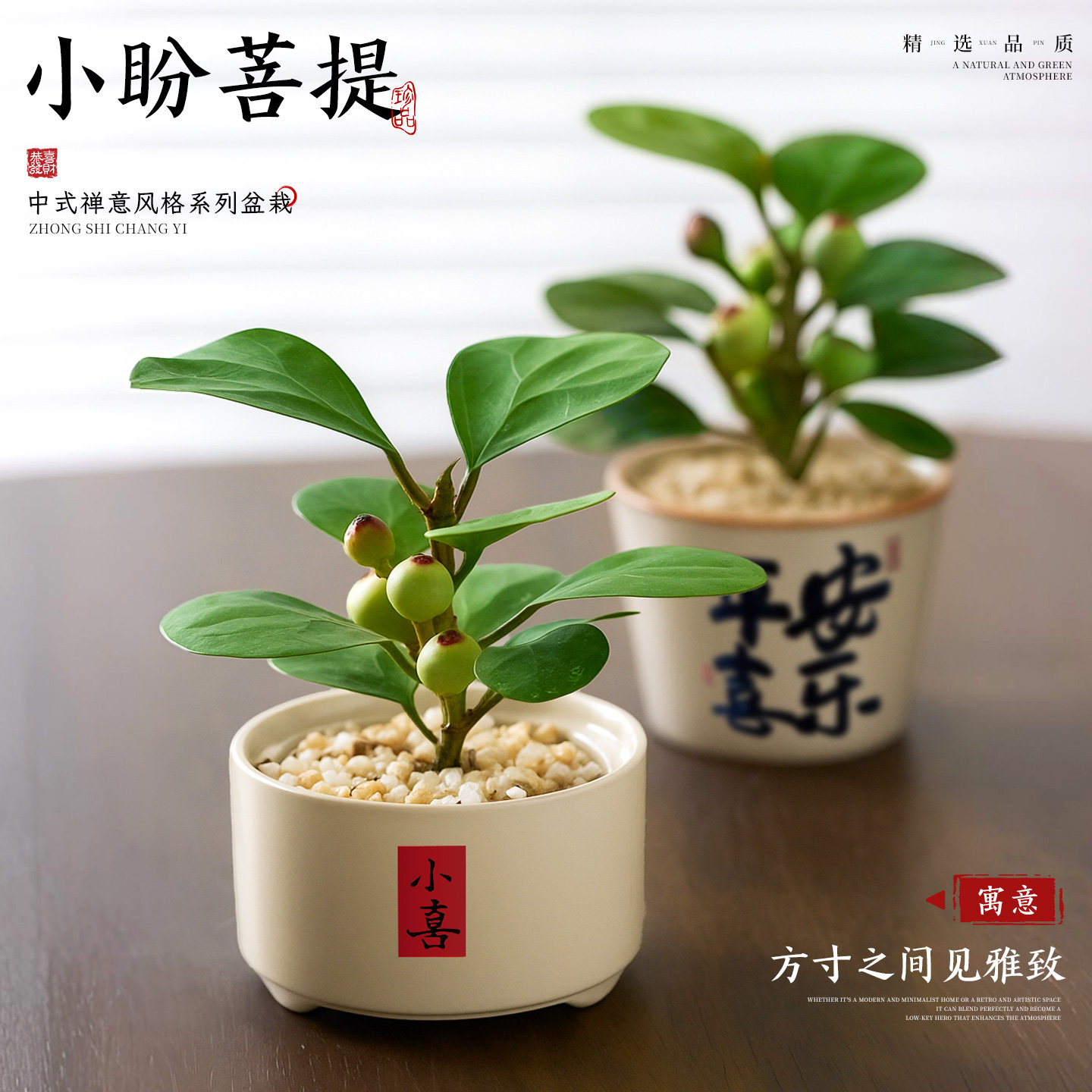 小盼菩提绿植盆栽带果菩提树盆景办公室中式禅意室内植物桌面摆件,鲜花速递/花卉仿真/绿植园艺,绿植,淘宝优惠券,粉丝福利购,淘宝优惠卷