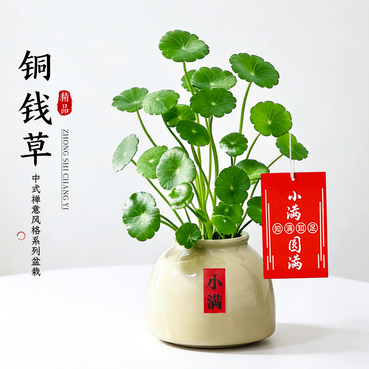 团团圆圆财源滚滚来四季常青图片