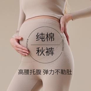 女怀孕期内穿高腰不勒肚纯棉保暖裤 毛裤 冬季 线裤 打底衬裤 孕妇秋裤
