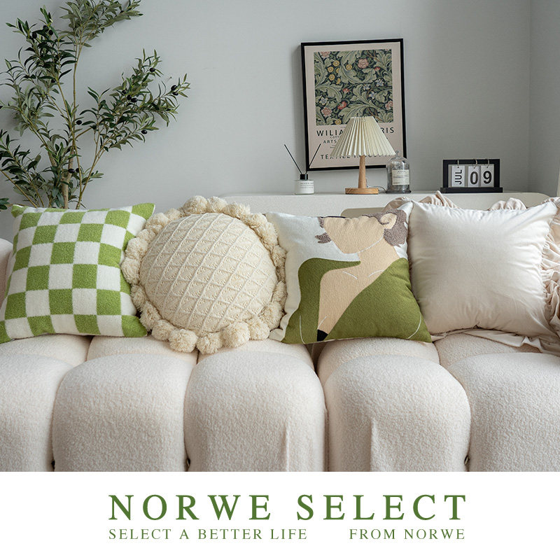 NORWE抱枕组合法式风情刺绣枕套蒲团客厅沙发靠背卧室飘窗靠垫
