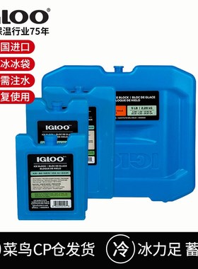 IGLOO蓝冰冰盒空调扇反复使用冰板冰袋保鲜冷冻摆摊母乳背奶冰包