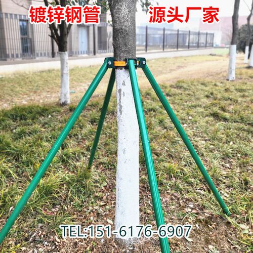 树木支撑架钢管固定器大树支撑杆乔木防风抱箍园林金属树支撑支架
