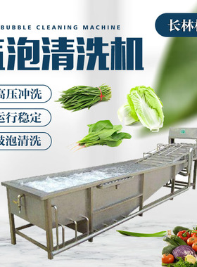 商用气泡机 大型全自动果蔬高压喷淋气泡清洗机 果蔬清洗设备