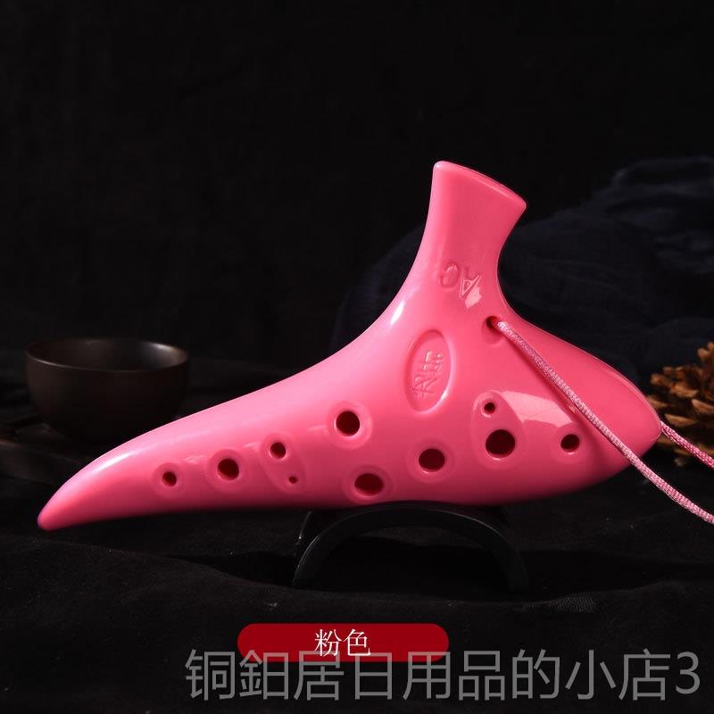 高档初生十二孔笛小学生中音乐课笛子初学者专用12孔脂塑料a陶c树