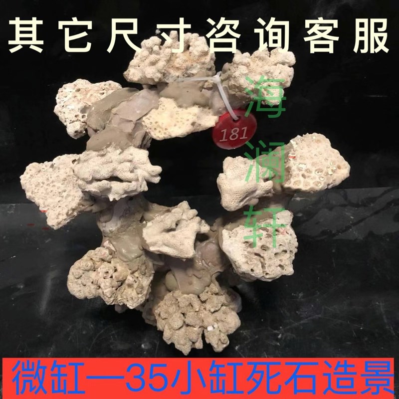 小海缸死石造景爪哇石干岩石免爆藻快速开缸珊瑚天然活石造景定制