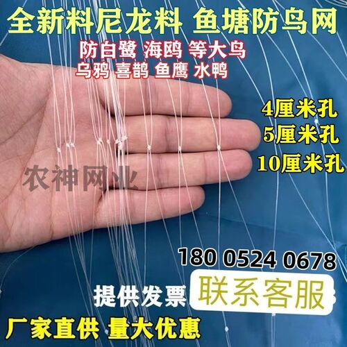 鱼塘防鸟网4厘米5厘米网眼10公分大网孔池塘泥鳅青蛙龙虾养殖天网