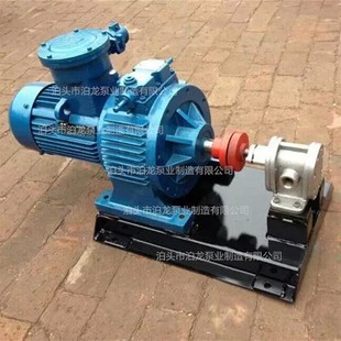 2.5泵 不锈钢2CY7.5 2CY白钢泵 2.5不锈钢齿轮泵 泊头2CY12