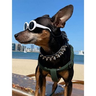 狗狗项圈金属防咬铆钉狗项圈小型犬中型犬狗脖圈法斗宠物狗牵引绳