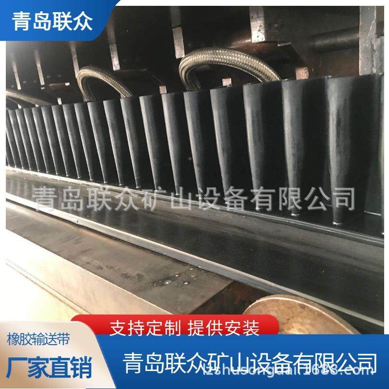 TC75隔板送输带送裙边输送带挡边间隔输送带挡板输带XAA带上坡带,鲜花速递/花卉仿真/绿植园艺,其它园艺用品,淘宝优惠券,粉丝福利购,淘宝优惠卷