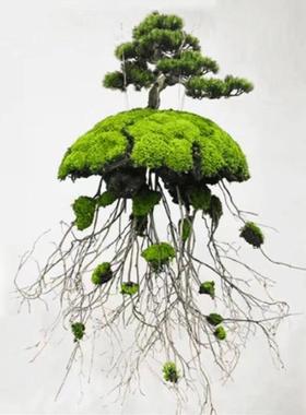 仿真悬浮假山LDP泡沫石假树迎客石松假头室内悬挂造景样间吊头板