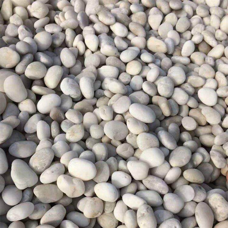 河鹅卵石变处压器5-8厘米QHB鹅用卵石水理河石园林铺路景观卵鹅卵,鲜花速递/花卉仿真/绿植园艺,其它园艺用品,淘宝优惠券,粉丝福利购,淘宝优惠卷