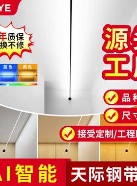 灯泥鸥钢带玄过道灯走廊明装LED阳台关钢丝YBA灯网红极简天际线带