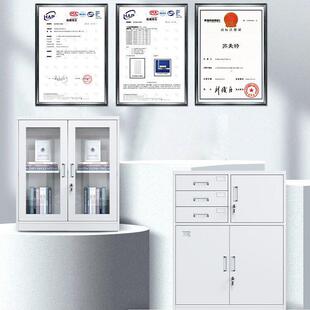 办公文柜铁皮柜储物柜带锁TMT钢制置物柜矮收纳件柜室员工桌下资