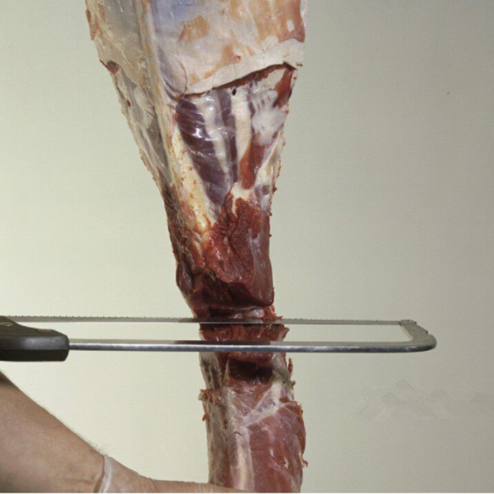 铝合金锯架不锈钢肉锯不锈钢骨锯冻肉锯手工骨头手锯