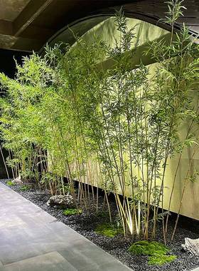 高KAL端树松树迎客松仿真绿植造罗景汉松装外饰摆件室内大型景观