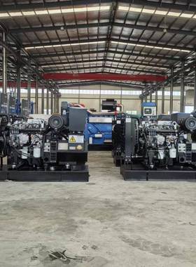 30KW千C瓦玉柴动力股份Y4V45Z-D02柴油发电全机组铜无刷NAL四保护