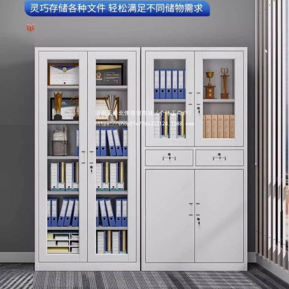 铁锁皮文件柜办公资料档案柜钢制凭衣证柜用更储物柜带柜PYA子家