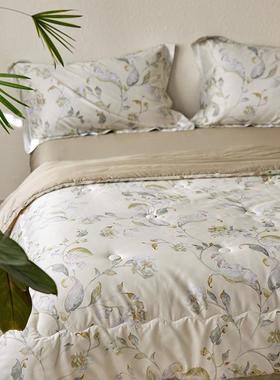 新品AMGP类李官奇豆可秋被芯可裸睡水洗无需套被套的被子春大四件