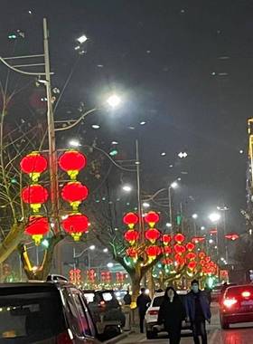 户l亚外克力灯笼NDO市工程景观亮化灯ed塑料防水连政串节庆宫灯