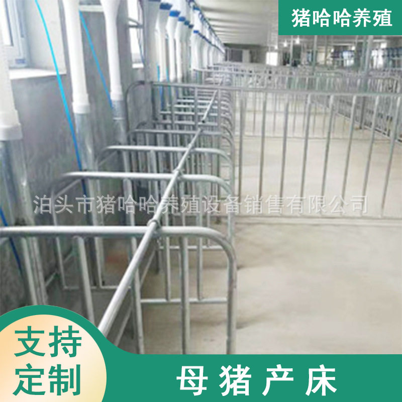 落地式母猪产床育肥猪定位栏