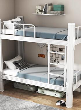 上铺下铁床型材床低床员工宿舍公寓床工地高双人床铁双QAW层床床